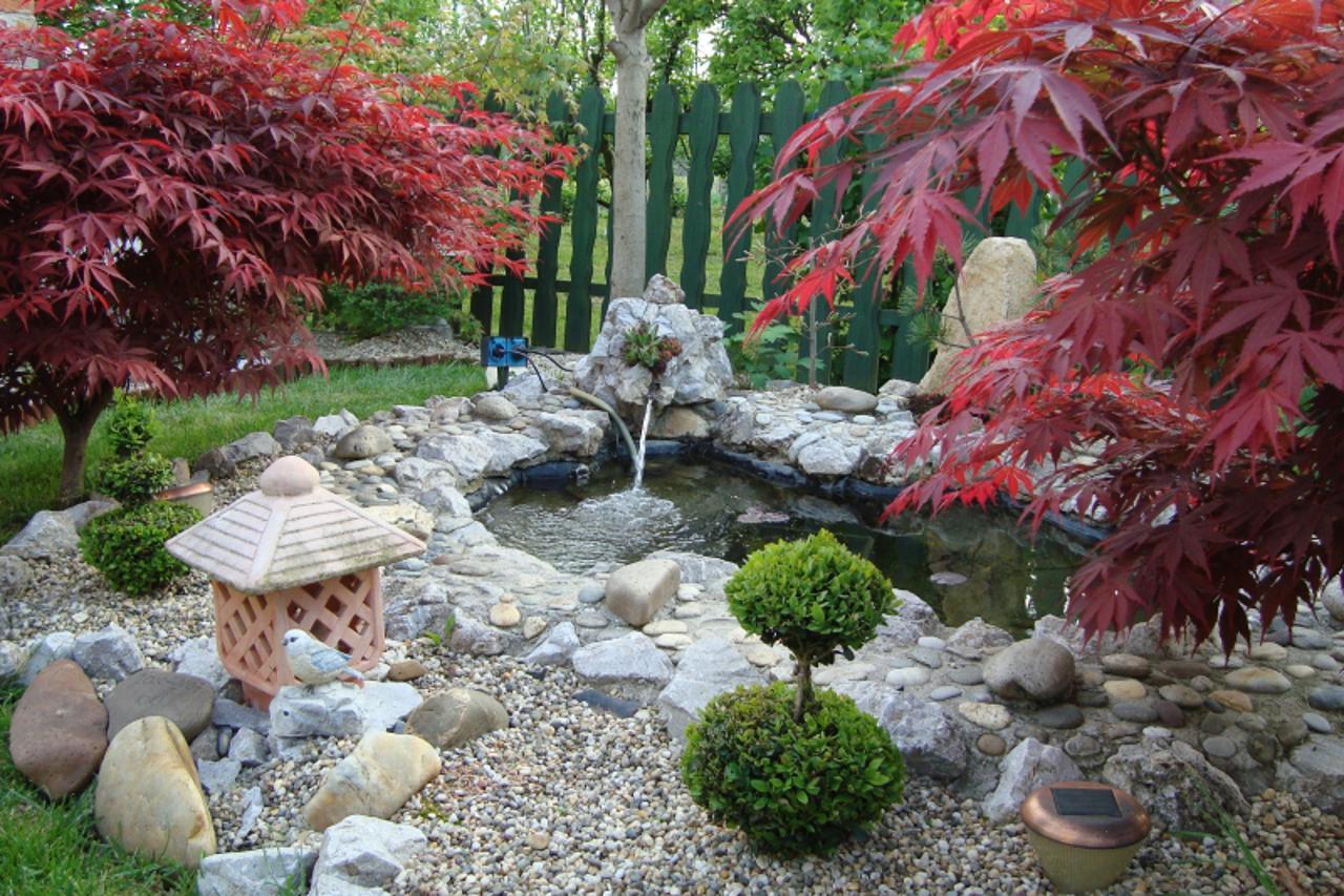 'kocbek1_nnn_vrt_190813'