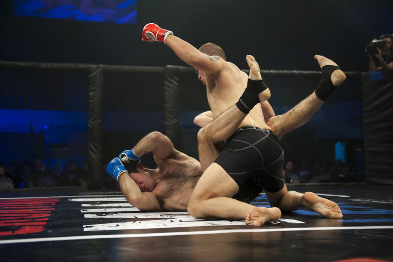 MMA LIGA (1)