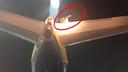 FOTO Zbog njega je nastao kaos na aerodromu, stopirano polijetanje Ryanairov aviona