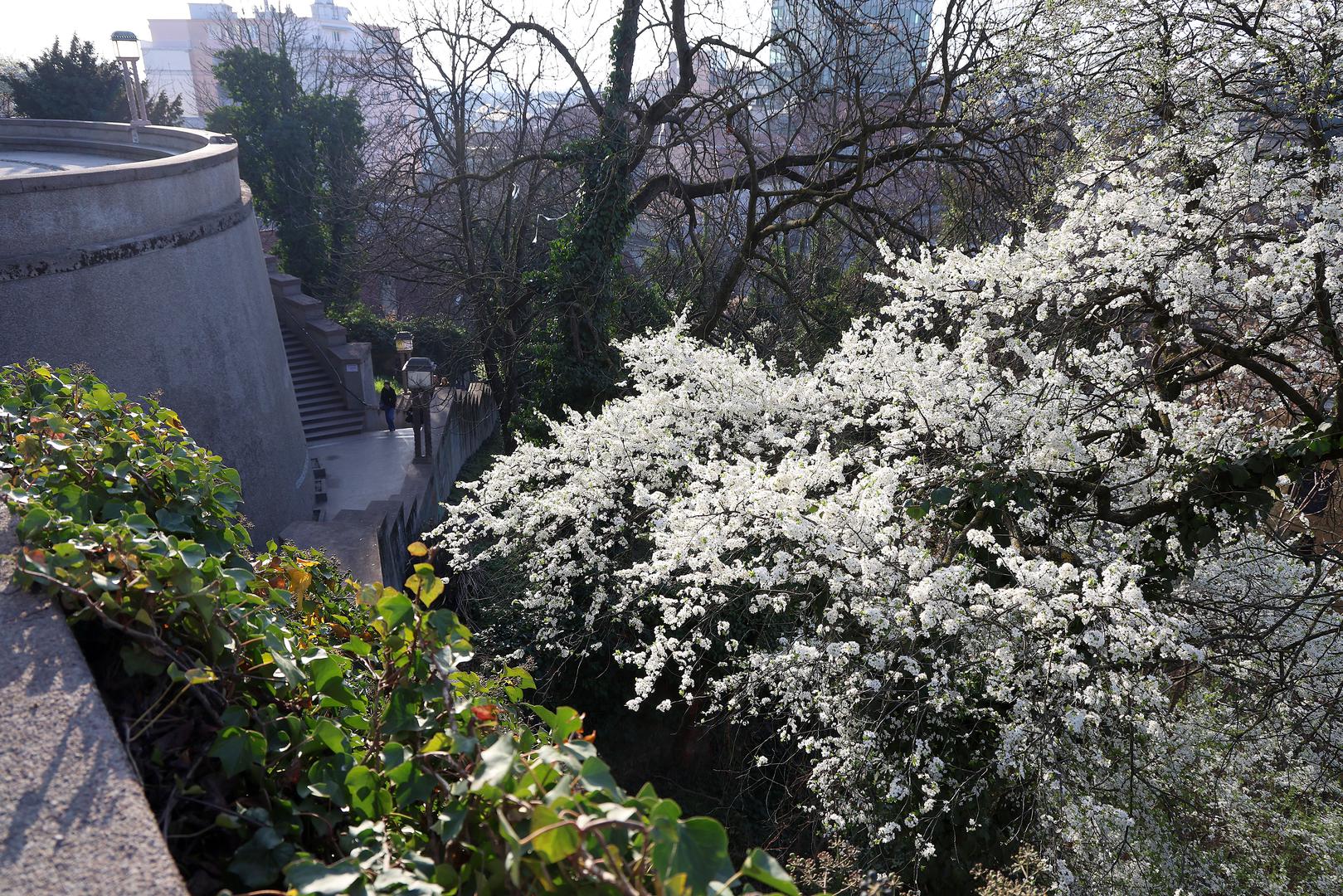 Puhat će umjeren, poslijepodne na udare i jak jugozapadni vjetar koji će navečer slabjeti. Najviša dnevna temperatura zraka iznosi oko 18 Celzijevih stupnjeva, prognozira Državni hidrometeorološki zavoda za srijedu.