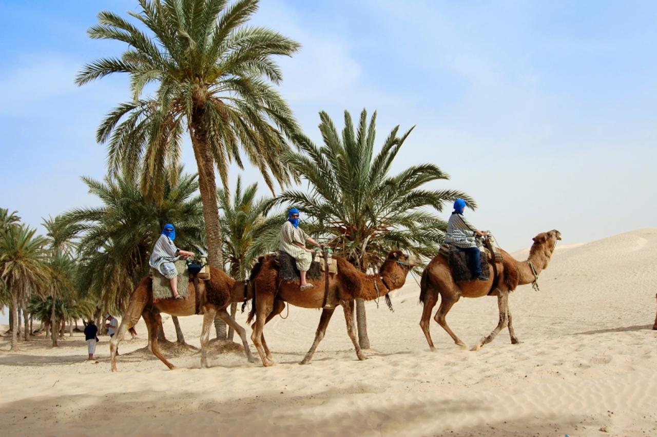 'tunis_nnn_put_300610'