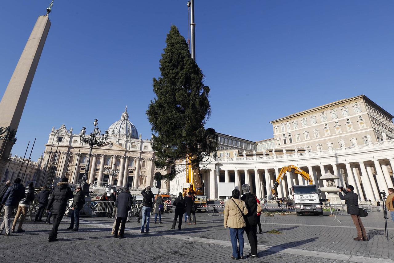 Božićno drvce Vatikan