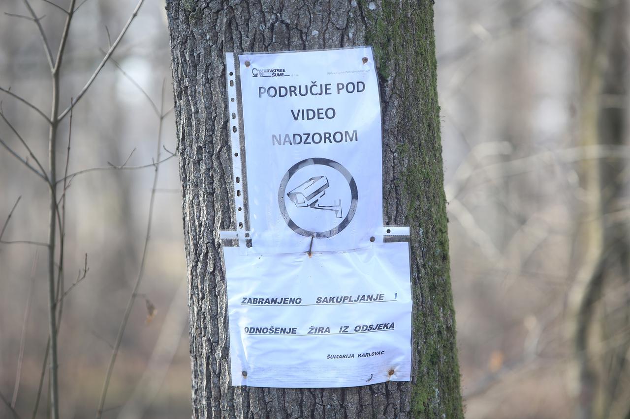 02.12.2015., Karlovac - Kako bi sprijecili i smanjili kradu drva tvrtka Hrvatske sume postavila videonadzor u svojim sumama. Photo: Kristina Stedul Fabac/PIXSELL