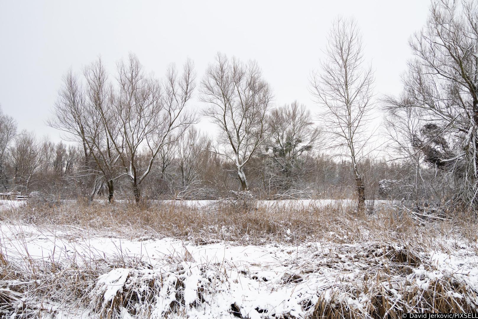 Podsjećamo, Kopački rit proglašen je parkom prirode 1976. godine.