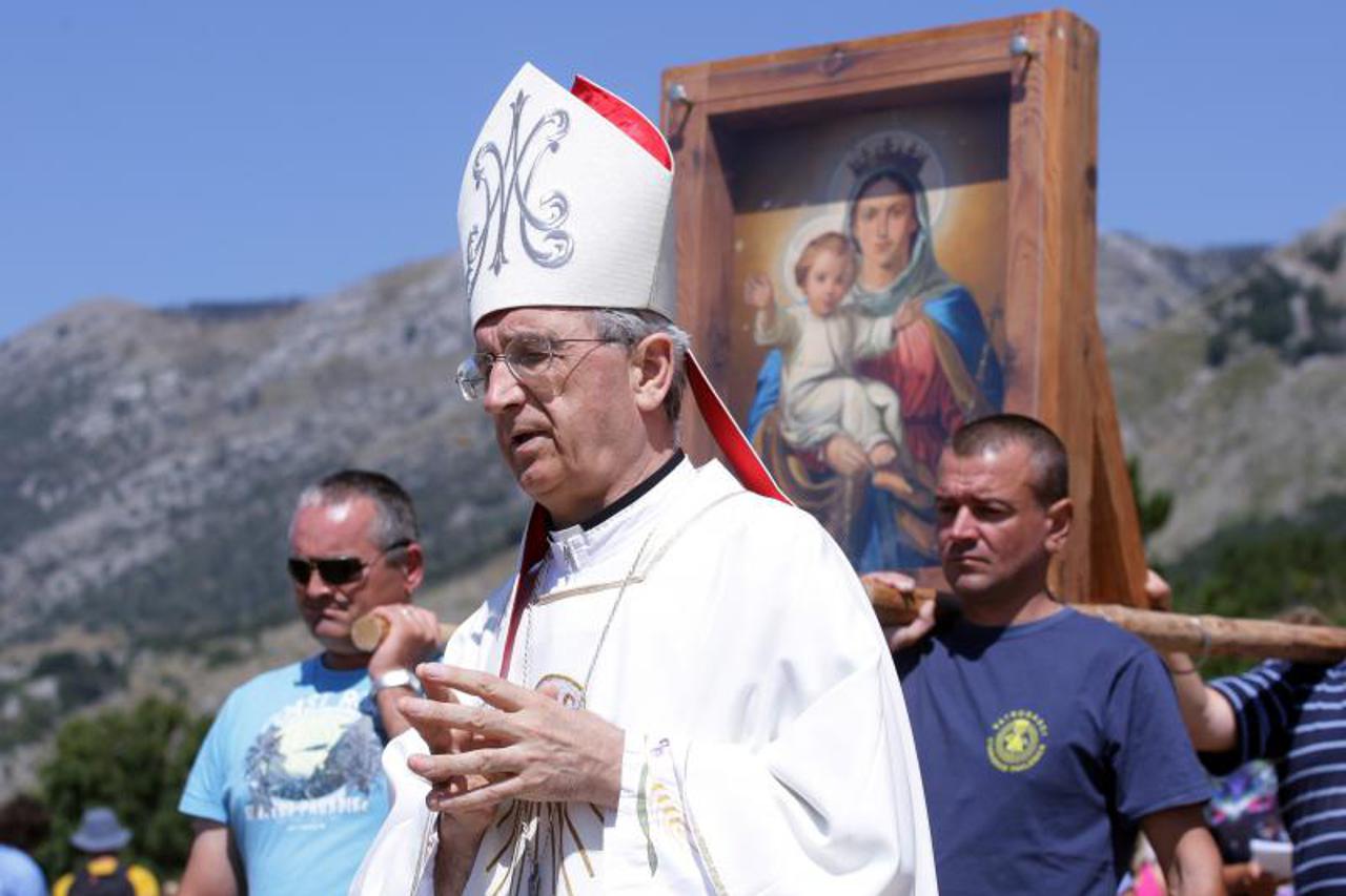 želimir puljić