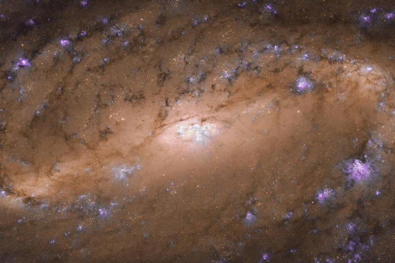 Galaksija NGC 2903