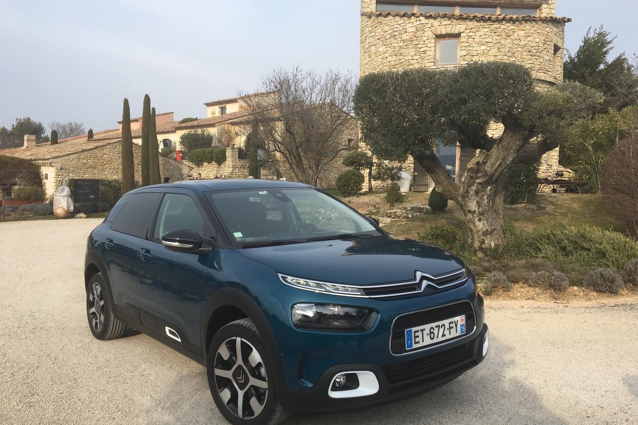 C4 Cactus