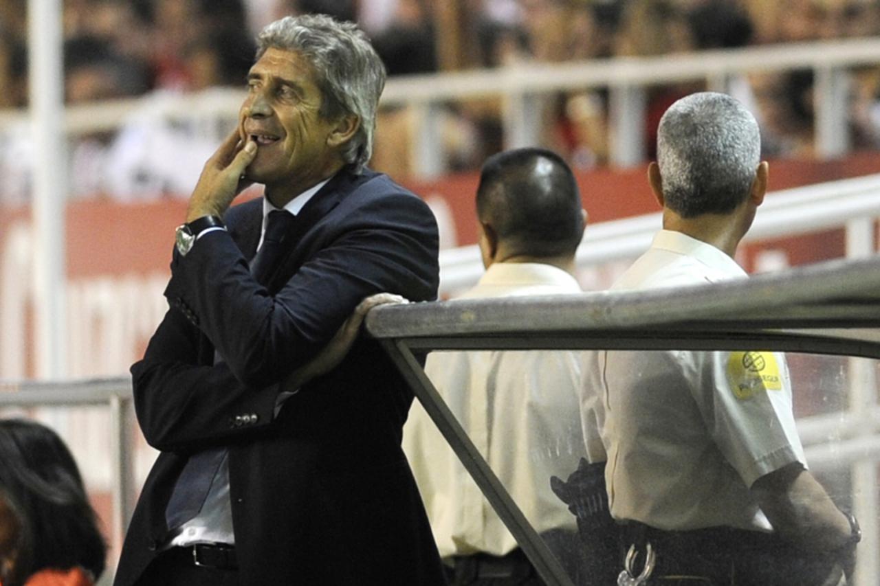 Manuel Pellegrini