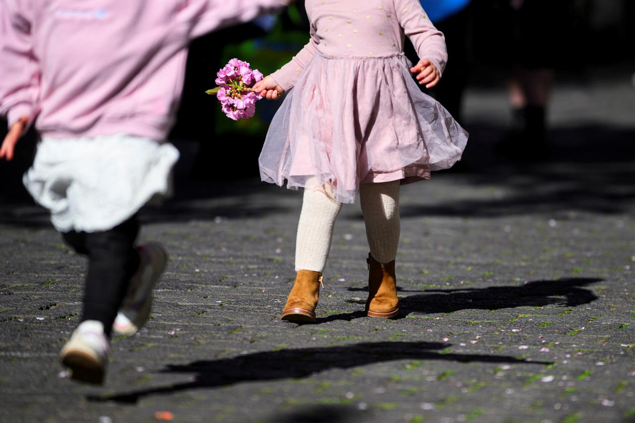 The cherry blossom comes out in Bonn