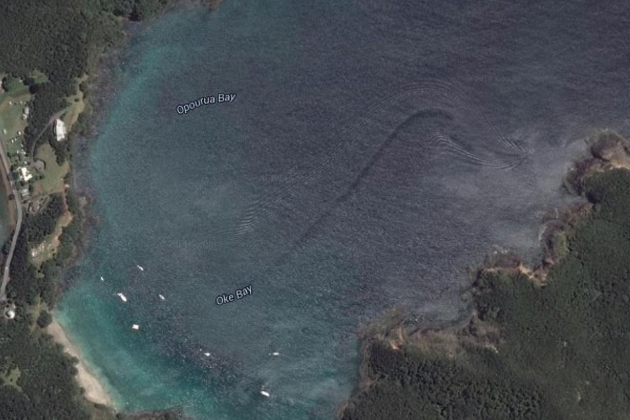 Misteriozno biće na Google Earthu 
