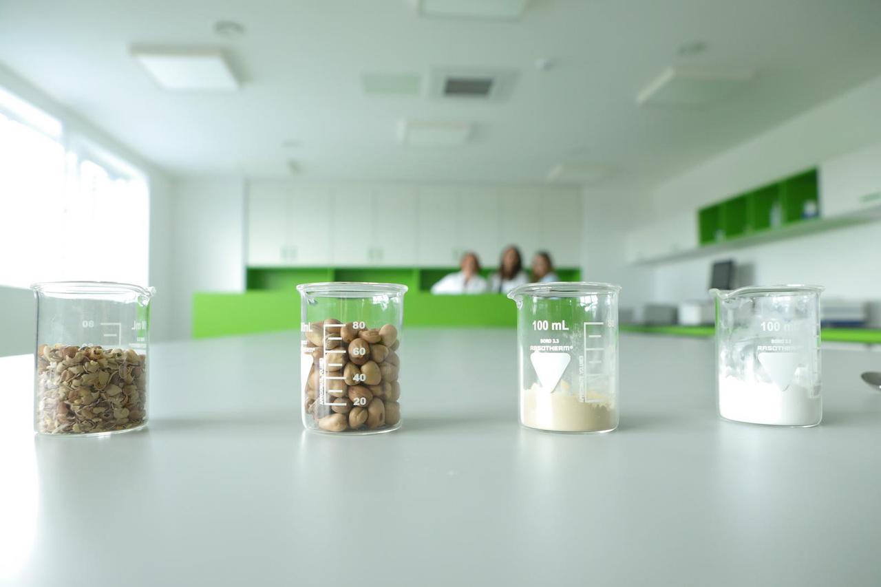 Otvorenje prve europske hibridne tvornice za preradu boba i krumpira u Slatini