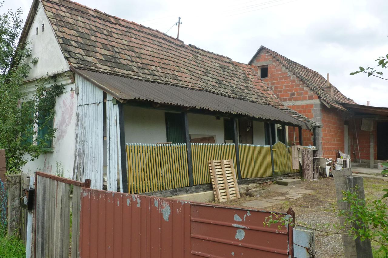 kuća, spolovila u formalinu