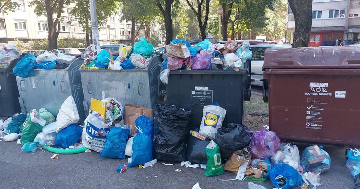 Zagrepčanka objavila sadržaj kontejnera pa pitala: 'Zar smo mi ostali bedasti?'