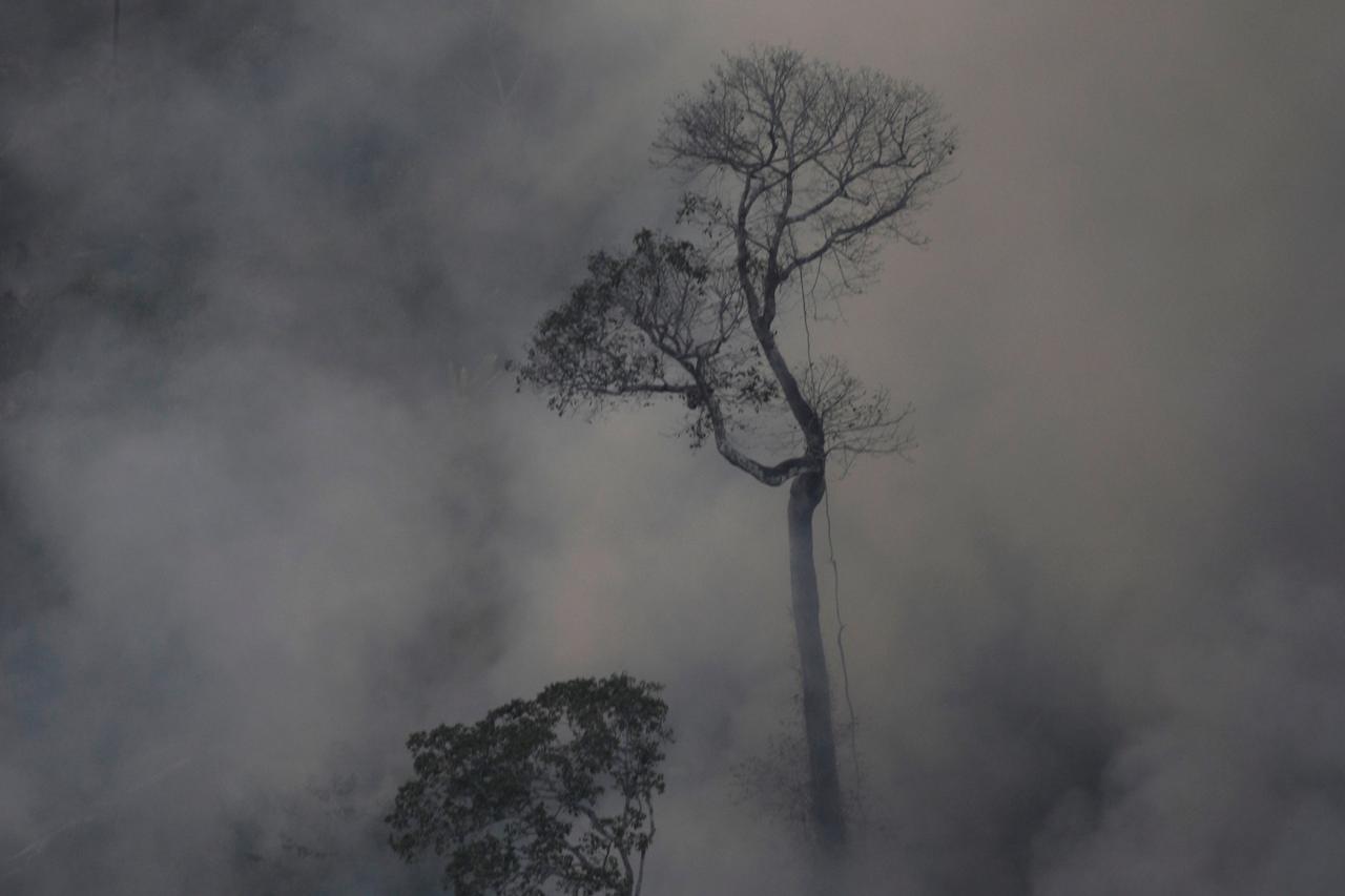 Požari u Amazoniji