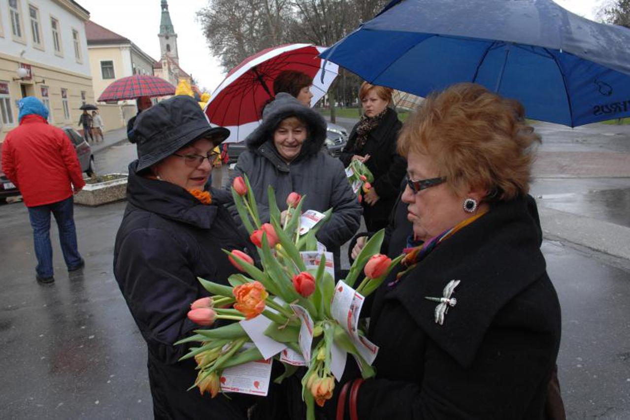 SDP, HSLS i HSS dijelili omiljeni cvijet Ane Rukavine (1)