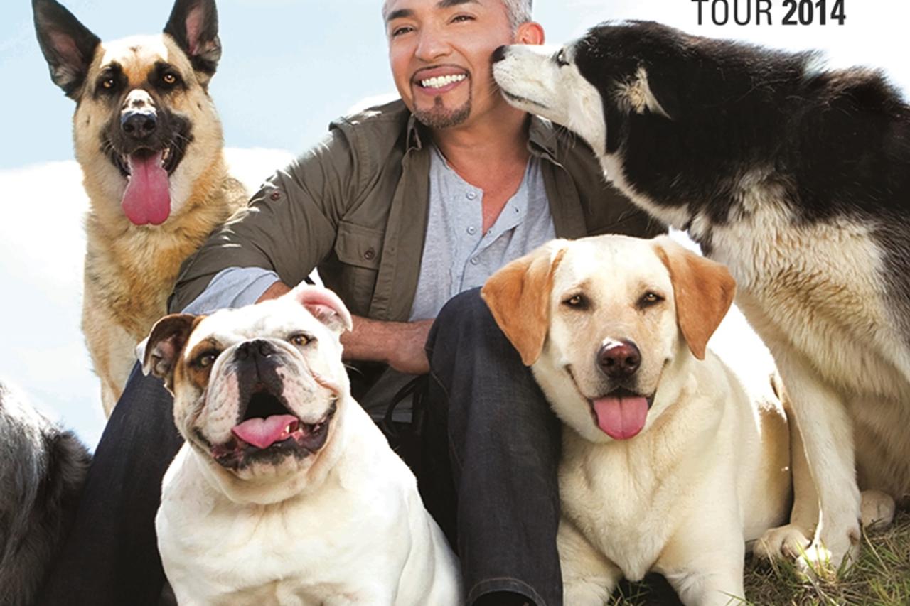 cesar millan