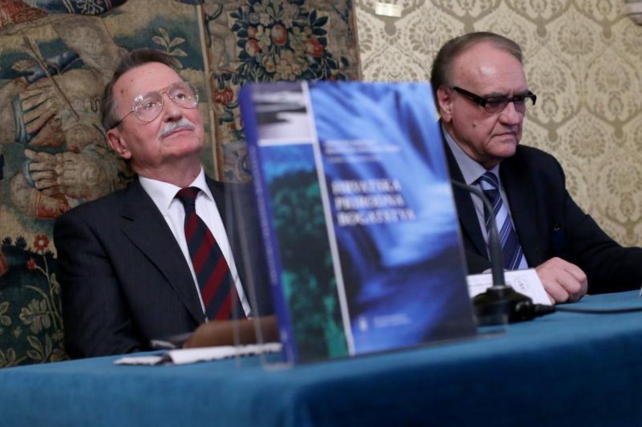  Velimir Neidhardt, Mirko Zelic