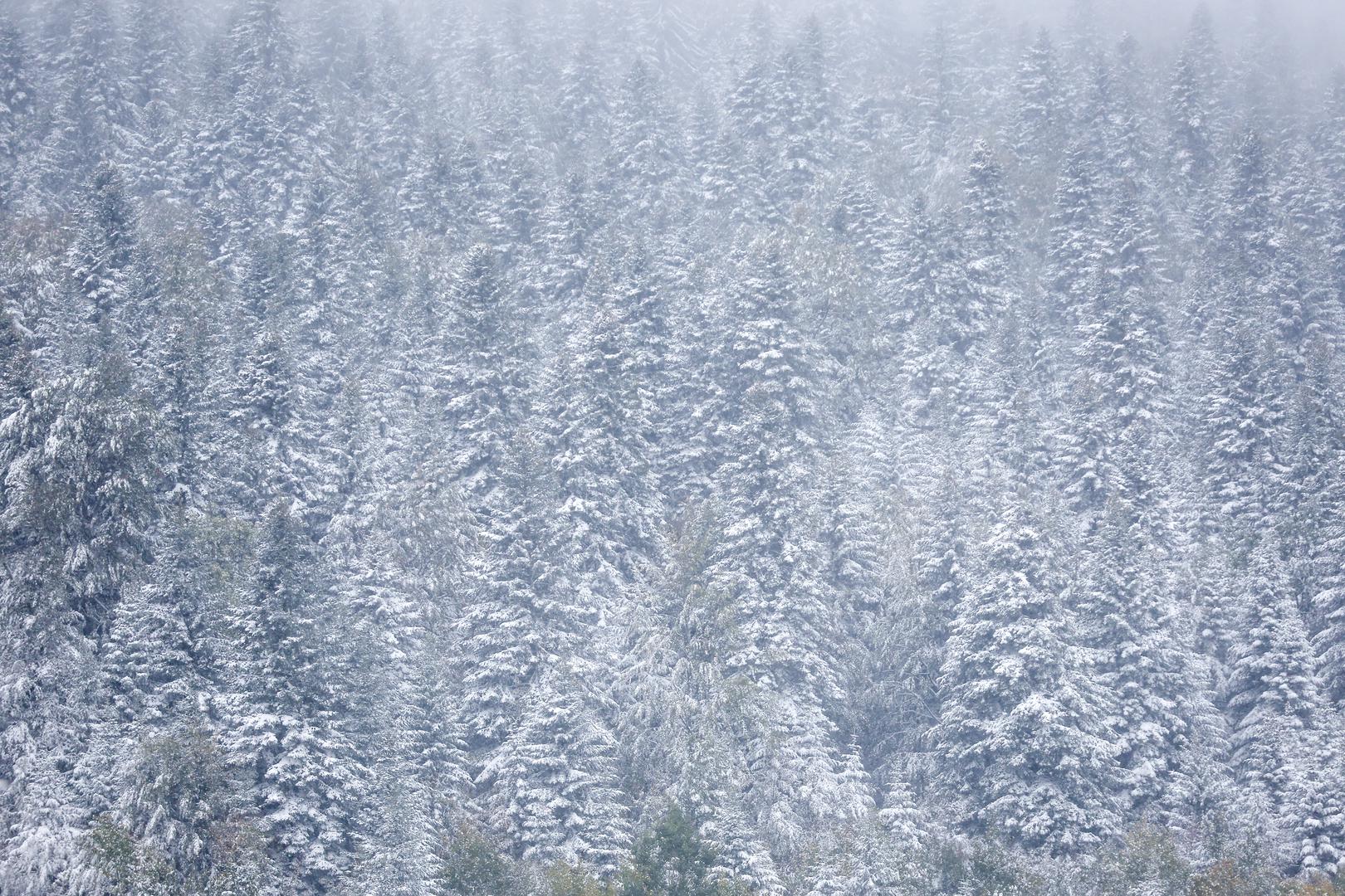 Ova planina, koja je i jedno od najpopularnijih zimskih odredišta u Bosni i Hercegovini, time je otvorila sezonu hladnijih dana i snježnih vrhova.