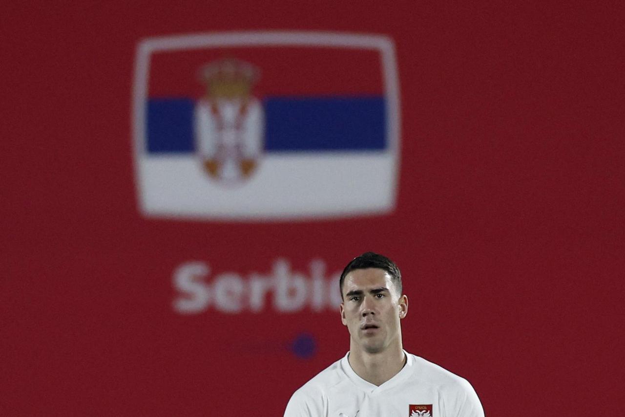 FIFA World Cup Qatar 2022 - Serbia Training