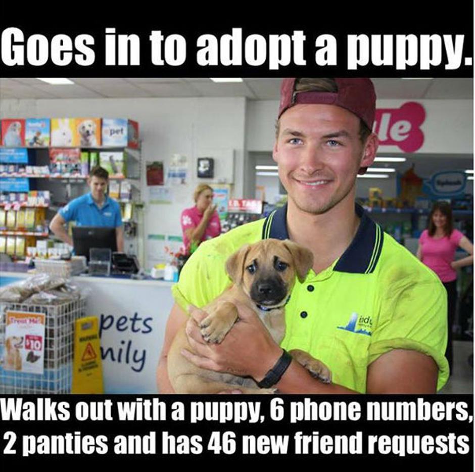 Udomio psa pa postao senzacija 