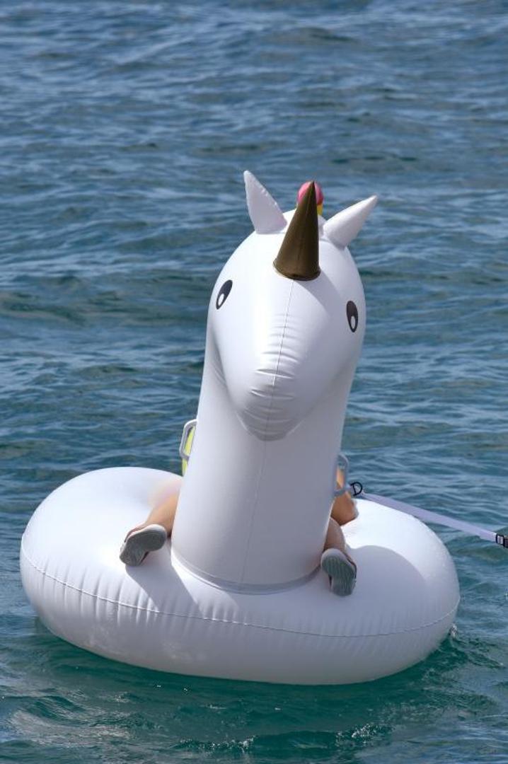 Jednorog je ipak pokupio više simpatija!