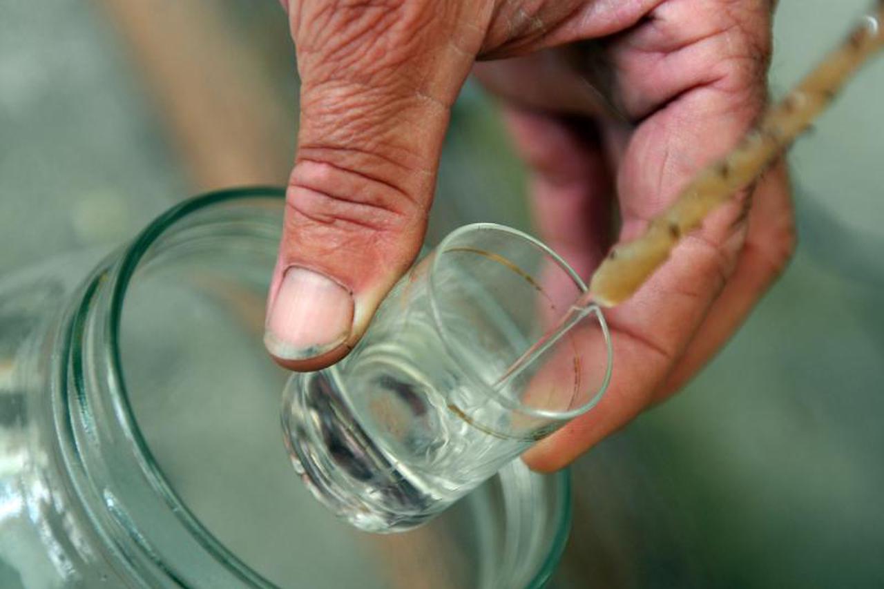 Rakija
