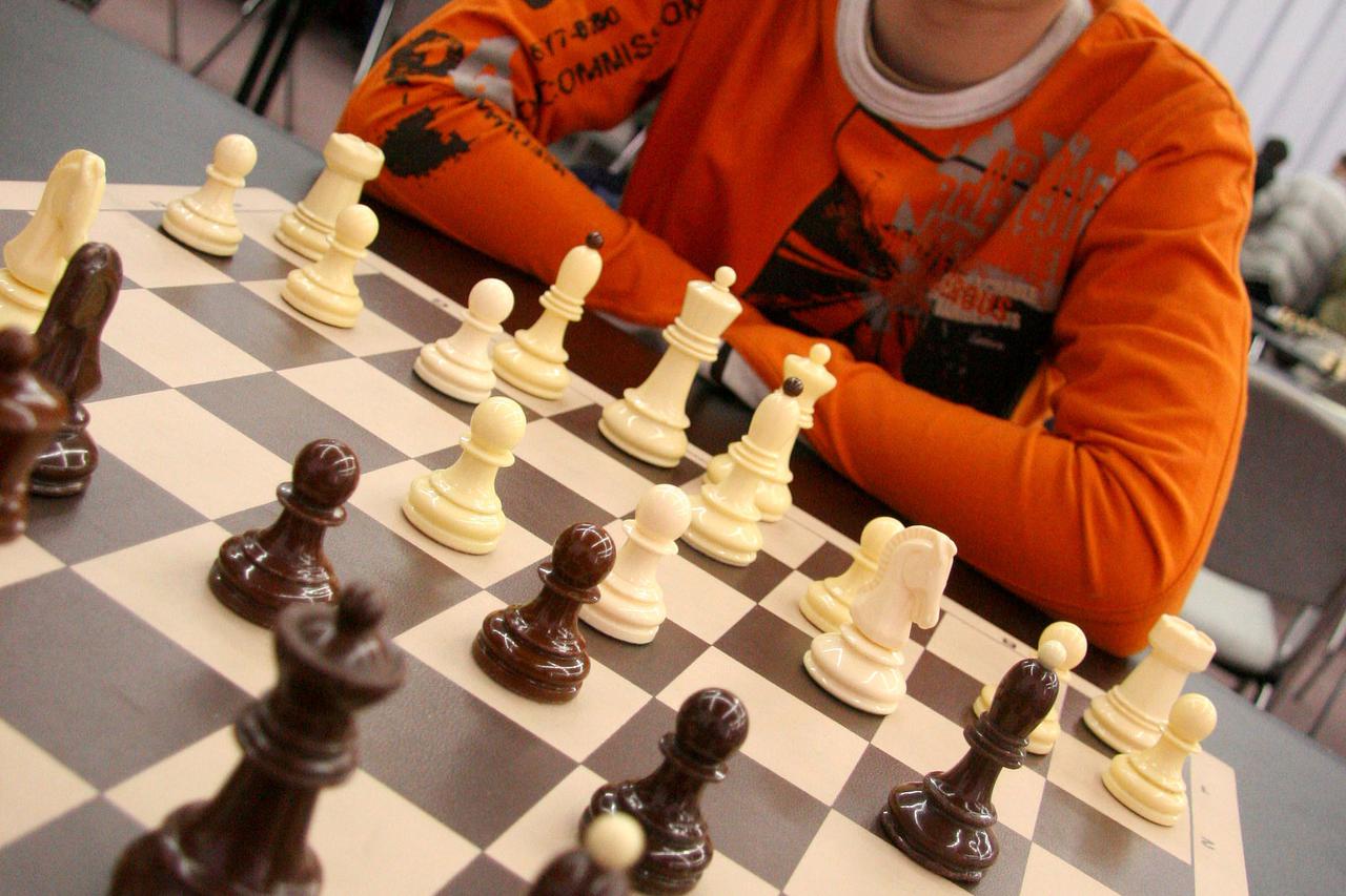 Ivan Šarić šah