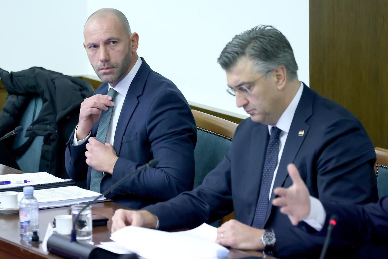 Damir Habijan na sjednici Odbora