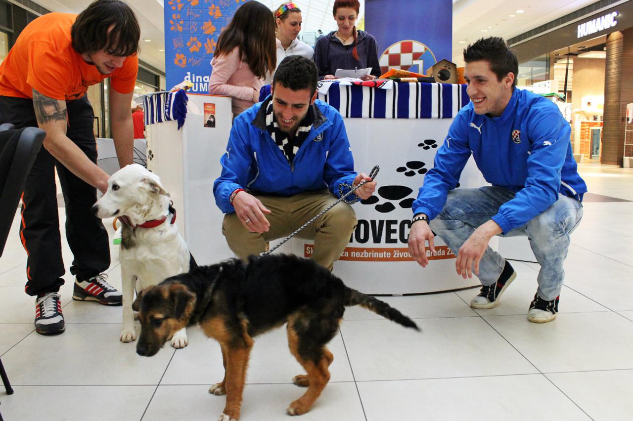 dinamo dumovec