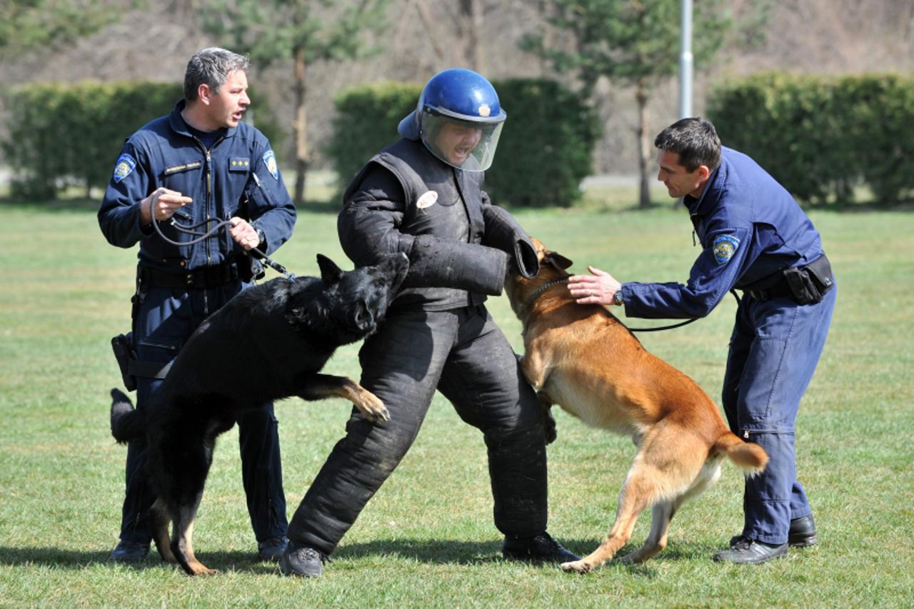 '24.03.2011. PU Varazdinska, Varazdin, Pripadnici PU Varazdinske su i psi Zeus, Dino, Gaan i Fox koji se sa svojim vodicima svakodnevno pripremaju za otkrivanje droge, eksplozivnih naprava ili trenira