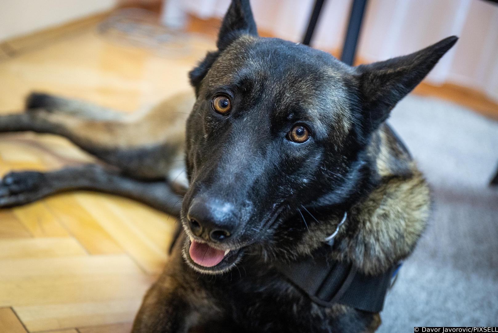 22.02.2023. Osijek - U Policijskoj Upravi osjecko-baranjskoj odrzala se konferencija za medije povodom pronalaska oko 11 kilograma heroina na granicnom prijelazu Batina. Photo: Davor Javorovic/PIXSELL