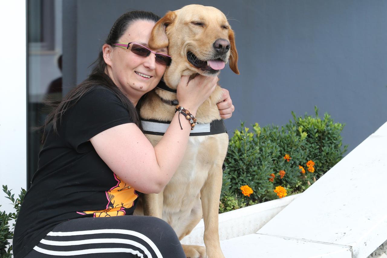 18.06.2015., Split - Rehabilitacijski pas Simba nakon mukotrpnog zivota i pokusaja udomljavanja obucen je  i umnogome promjenio zivot svoje korisnice Sandre Luksic.  Snimio: Ivo Cagalj/PIXSELL