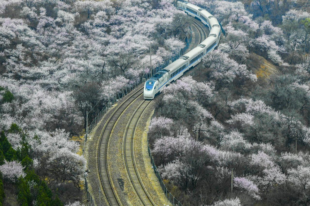 #CHINA-BEIJING-SPRING-TRAIN (CN)