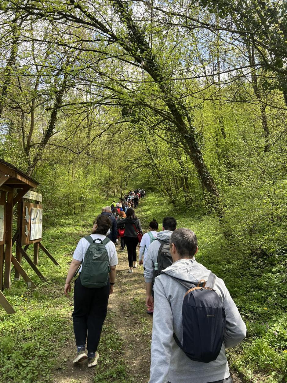 Vina Erdut Wine & Walk