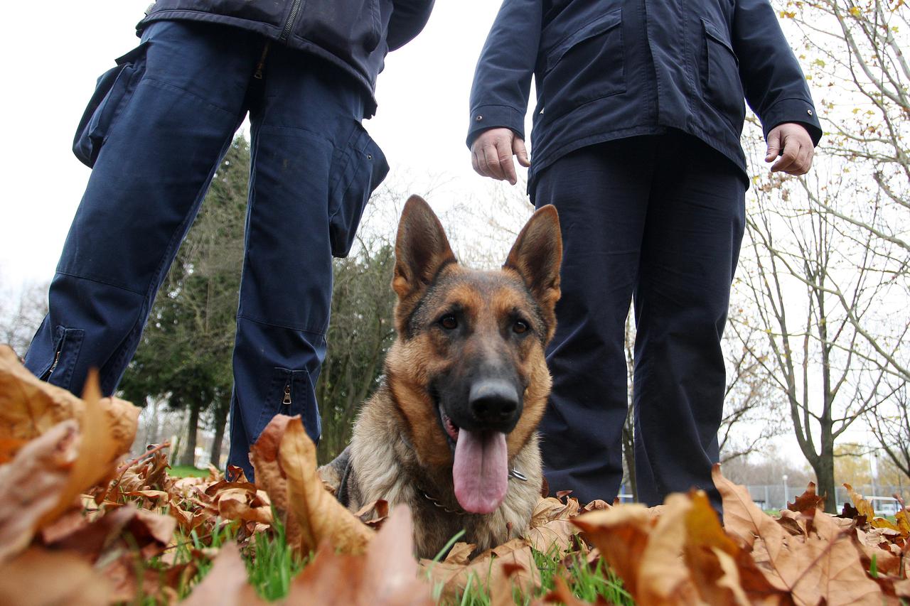 Zagreb: Centar za obuku vodi?a i dresuru službenih pasa