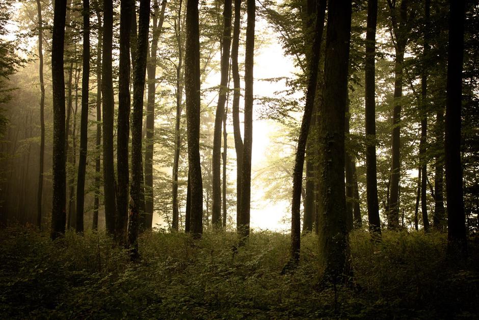 HIGHLANDER Medvednica