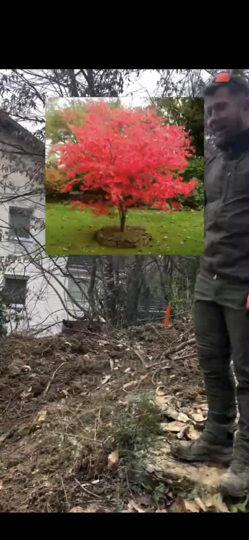 Cijeli projekt nosi duboku emocionalnu vrijednost jer je riječ o kući koju je pedesetih godina prošlog stoljeća izgradio njezin djed Đuro. Smještena u elitnom i mirnom dijelu Zagreba, okružena šumom i zelenilom, ova nekretnina postala je platno za ostvarenje Idine vizije modernog obiteljskog života.