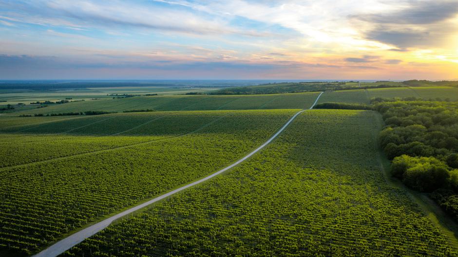 Slavonija i Baranja