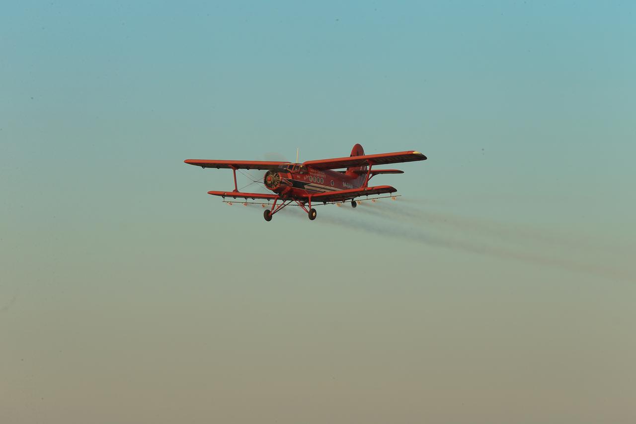 Oprašivanje komaraca