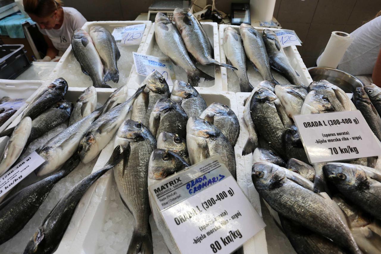 Ribarnica/Ilustracija