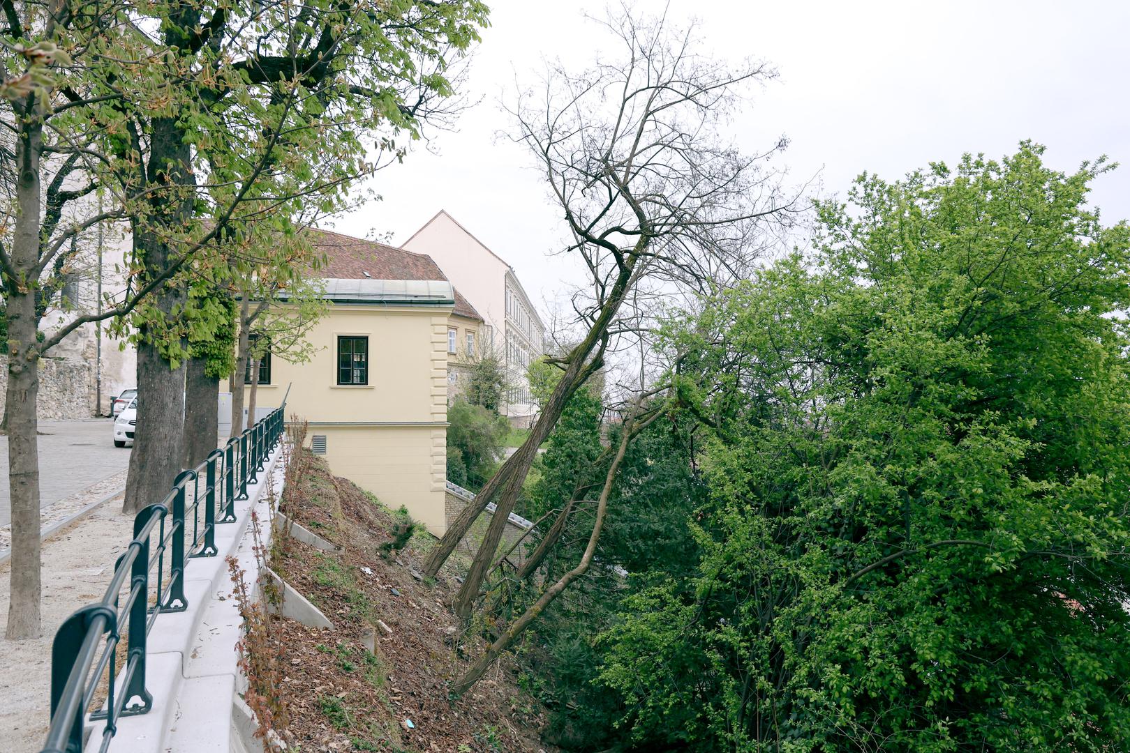 Nevrijeme koje je prošlog tjedna poharalo Zagreb i srušilo stotine stabala ponovno je otvorilo pitanje sustavne kontrole i preventivnih pregleda gradskog drveća.