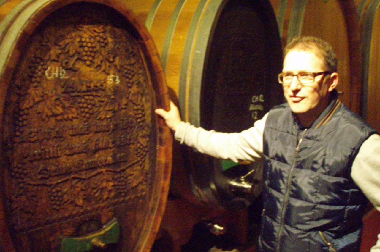 vinari,axel stiegelmar (1)