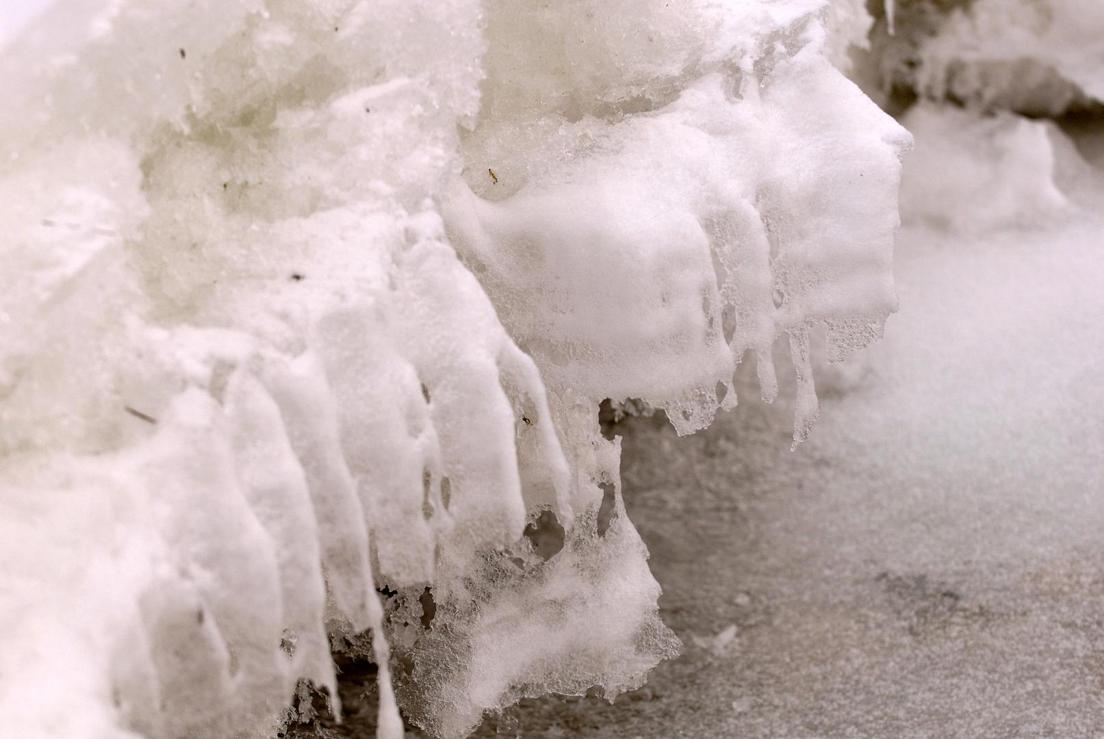 No, prije 12 godina, zima je bila sasvim drugačija – hladna i  s temperaturama koje su danima padale ispod -15 stupnjeva Celzijusa.