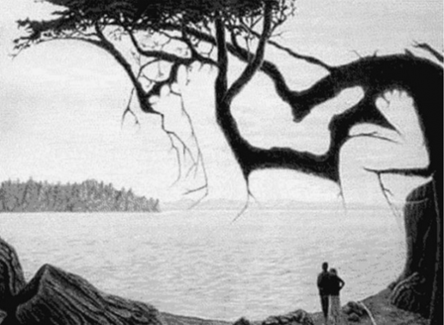 Ova crno-bijela fotografija na prvi pogled prikazuje samo par koji stoji pokraj jezera. No, na fotografiji se nalazi još jedna osoba! Vidite li gdje se nalazi? Odgovor slijedi u nastavku fotogalerije!