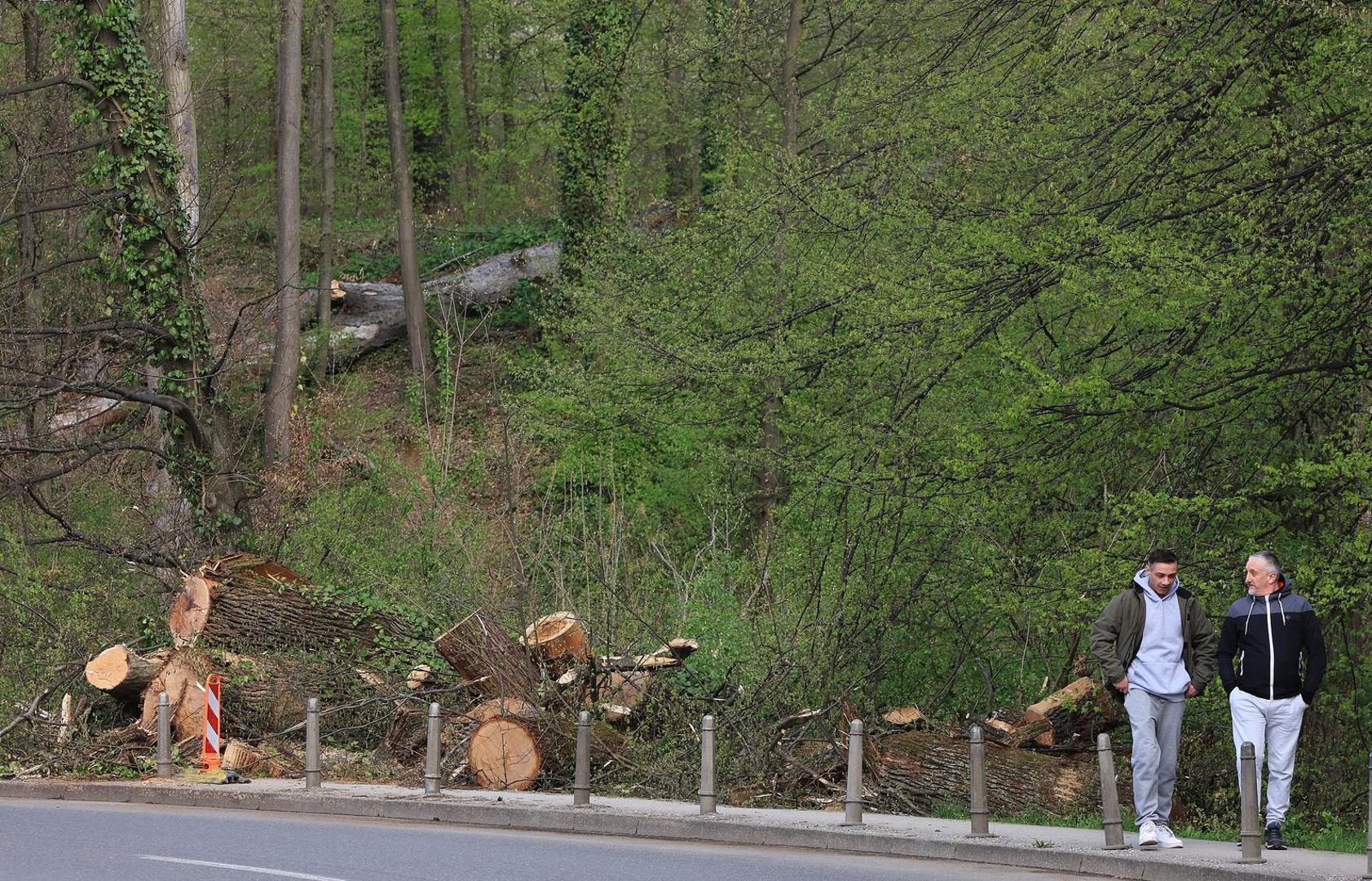 Posebno su pogođene zelene površine, među njima i park Maksimir, gdje su snažni naleti vjetra lomili i čupali drveće, ostavljajući iza sebe prizore polomljenih i porušenih stabala.
