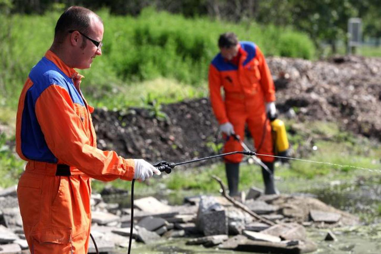 '08.05.2013., Zagreb - Radnici tvrtke Eko deratizacija poceli su danas unistavanje komaraca na jezeru Jarun. Zbog vremenskih uvjeta ove godine broj komaraca uz vlazna podrucja je jako veliki. Photo: P