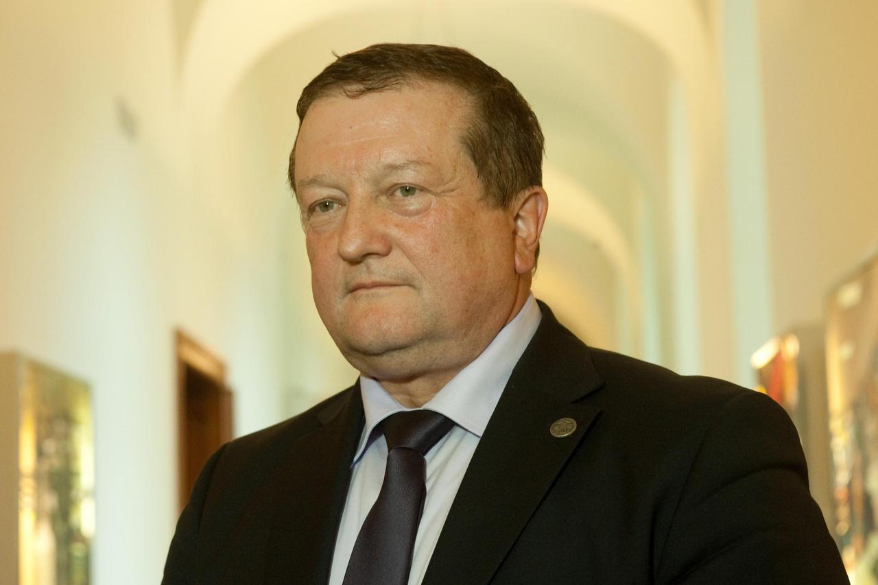 Damir Boras