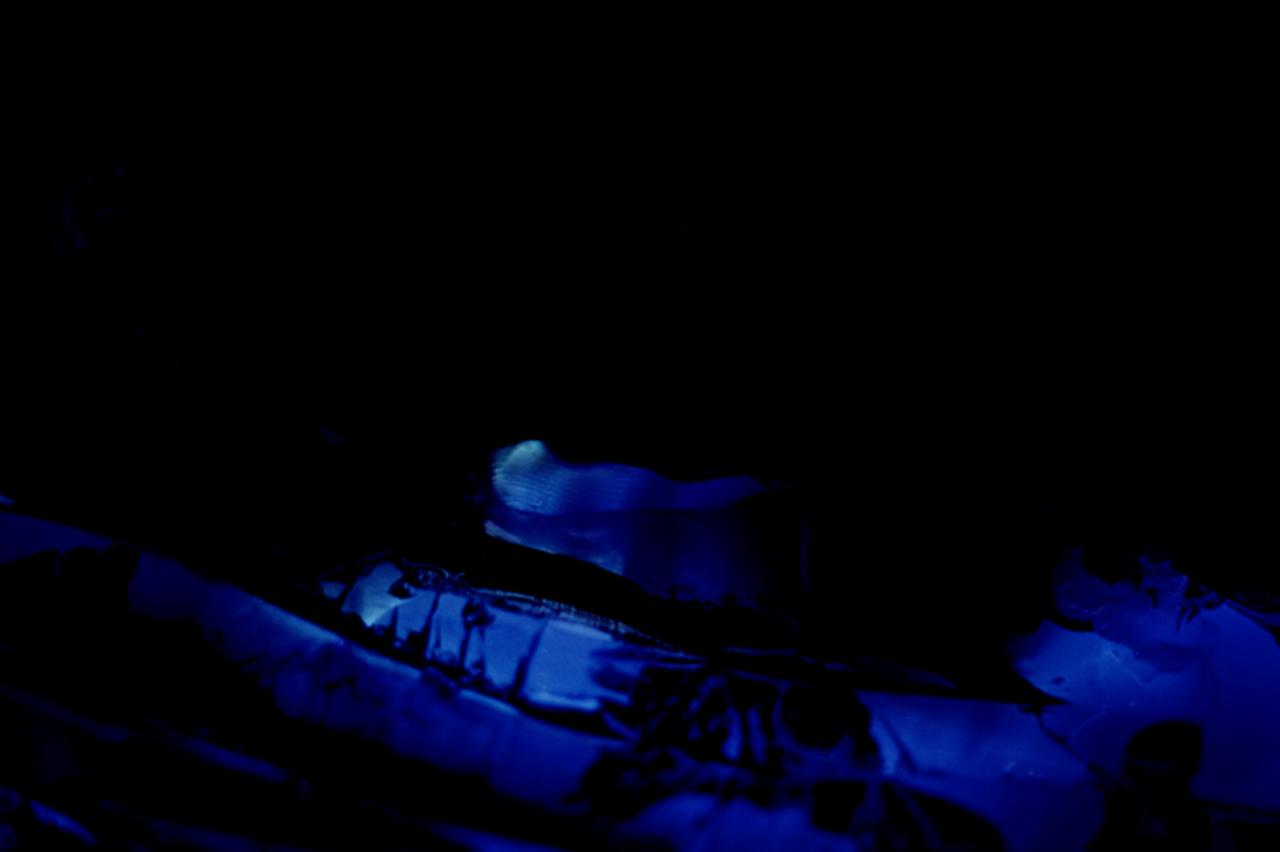 Jelena Blagović: Introverzije