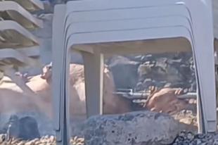 Šok na popularnoj jadranskoj plaži: Iza ležaljki postavili ražanj i pekli janje