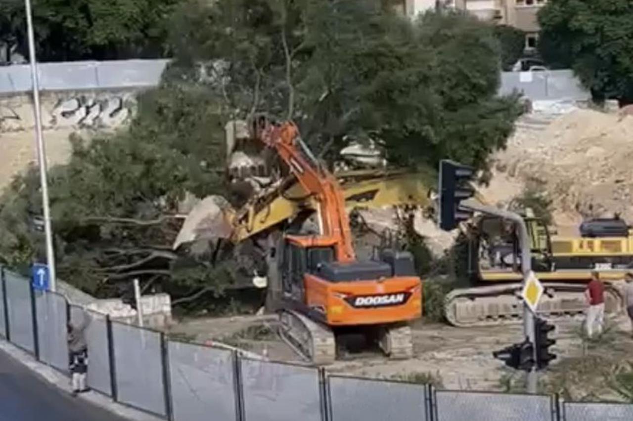 Rušenje stabla u Splitu